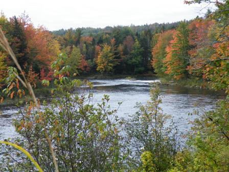 LaHave River view in October