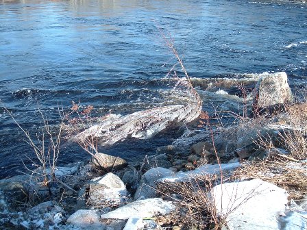 Spring on the LaHave